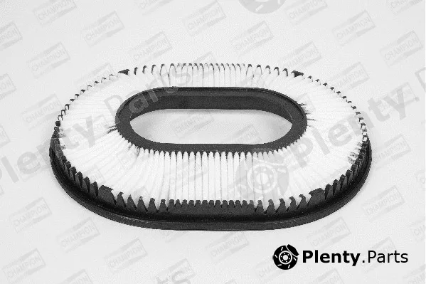 Champion W720/606 — Air Filter