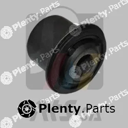 RTS 017-00027 — Mounting, control/trailing arm