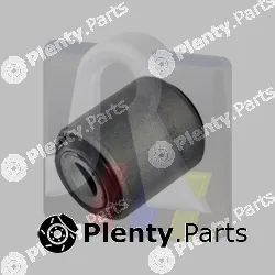 RTS 017-00004 — Mounting, control/trailing arm