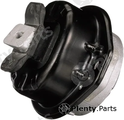 Rapro R55554 — Mounting, engine