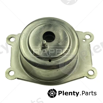Rapro R51900 — Mounting, engine