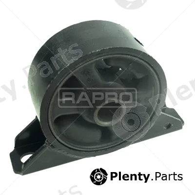 Rapro R51618 — Mounting, engine