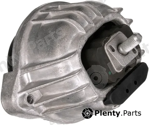Rapro R55551 — Mounting, engine