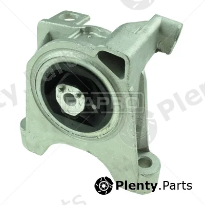Rapro R59561 — Mounting, engine