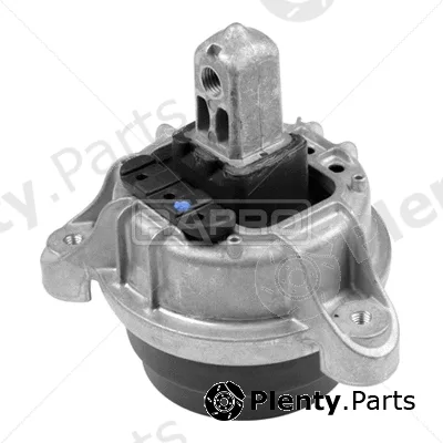 Rapro R54776 — Mounting, engine