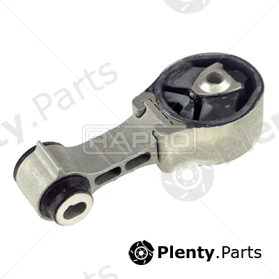 Rapro R53164 — Mounting, engine