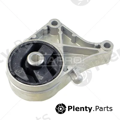 Rapro R54325 — Mounting, engine