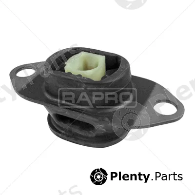 Rapro R50169/A — Mounting, engine