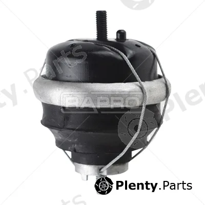 Rapro R54166 — Mounting, engine
