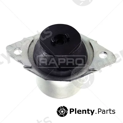 Rapro R54173 — Mounting, engine