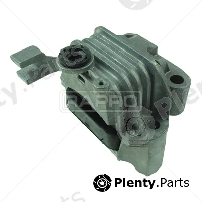 Rapro R51595/O — Mounting, engine