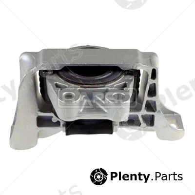 Rapro R54190 — Mounting, engine