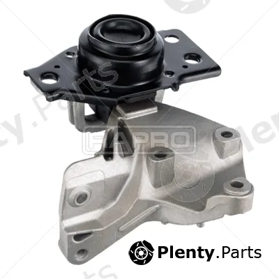 Rapro R55365 — Mounting, engine