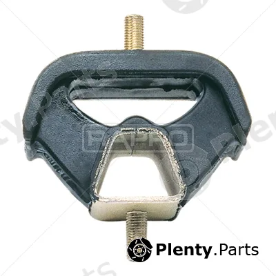 Rapro R57005 — Mounting, engine