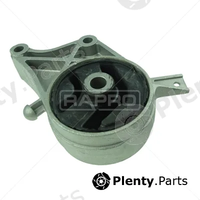 Rapro R51516 — Mounting, engine