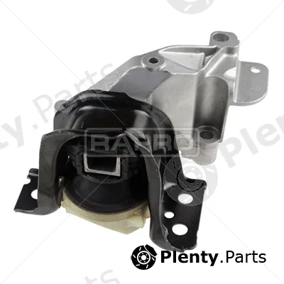 Rapro R51077 — Mounting, engine