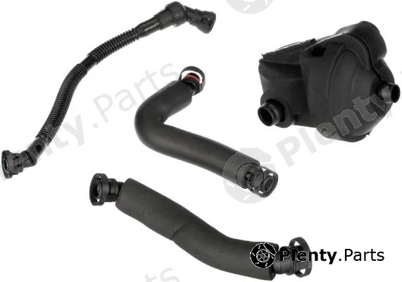Rapro R19189/K — Repair Kit, crankcase ventilation