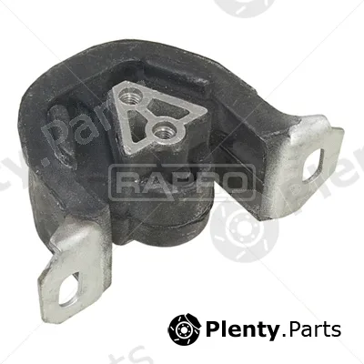 Rapro R59023 — Mounting, engine