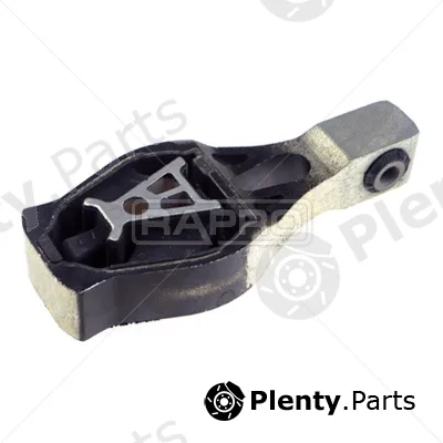 Rapro R54386 — Mounting, engine