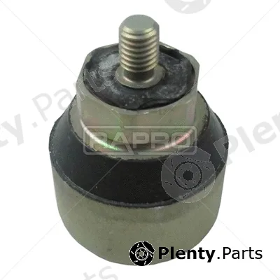Rapro R51861/O — Mounting, engine