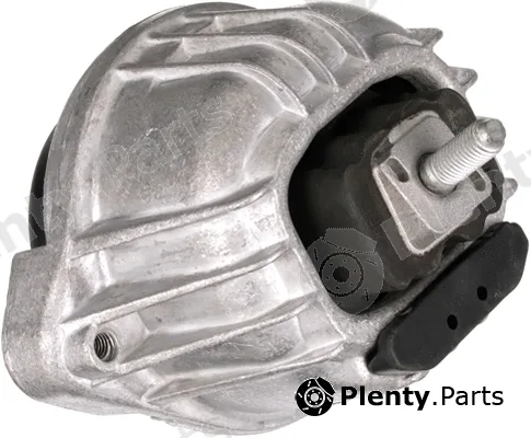 Rapro R55542 — Mounting, engine