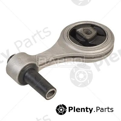 Rapro R52128 — Mounting, engine
