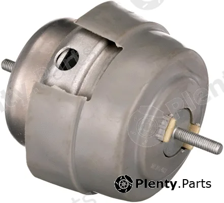 Rapro R55519 — Mounting, engine