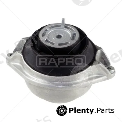 Rapro R54176 — Mounting, engine