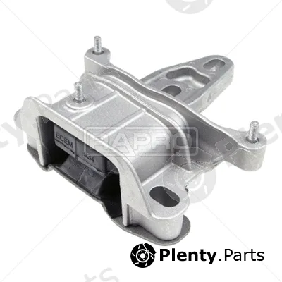 Rapro R54935 — Mounting, engine