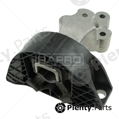 Rapro R51641 — Mounting, engine