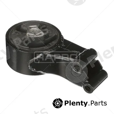 Rapro R55394 — Mounting, engine
