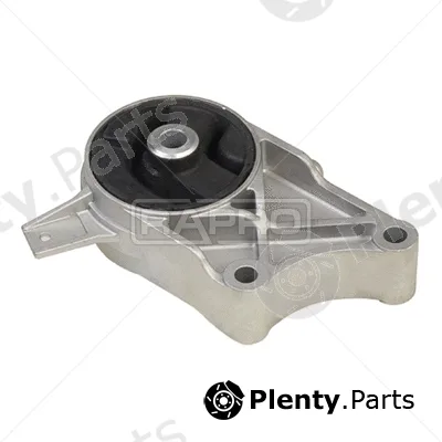 Rapro R59181 — Mounting, engine