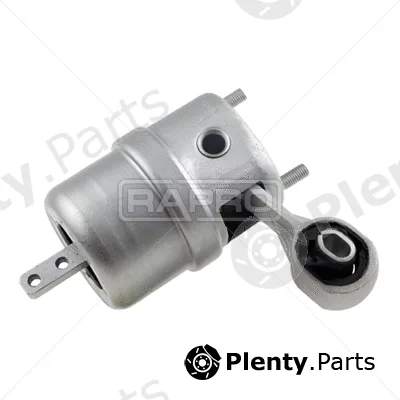Rapro R54170 — Mounting, engine