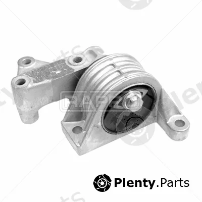 Rapro R59719 — Mounting, engine