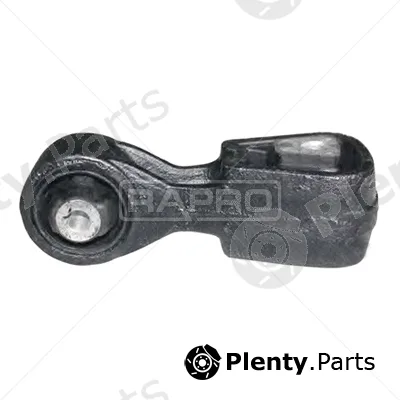 Rapro R55156 — Mounting, engine