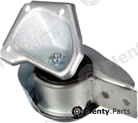 Rapro R55618 — Mounting, engine