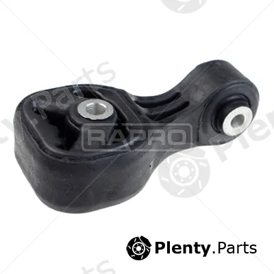 Rapro R54390 — Mounting, engine