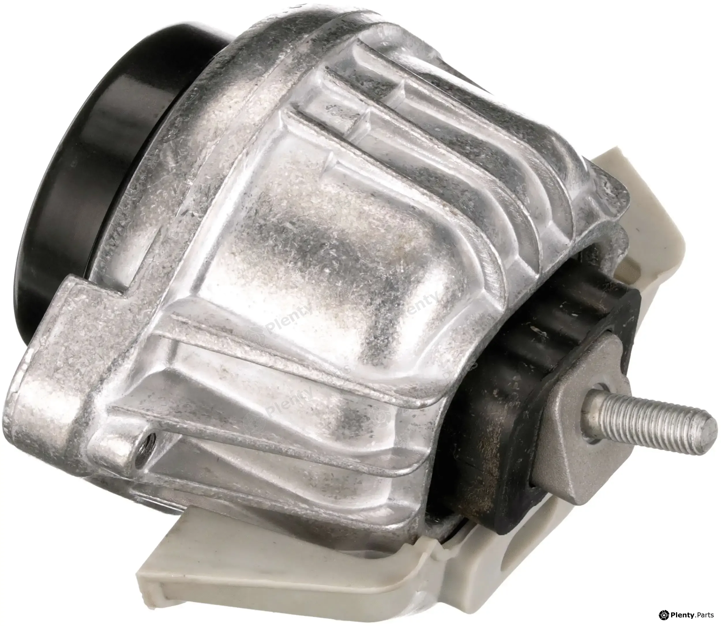 Rapro R55547 — Mounting, engine