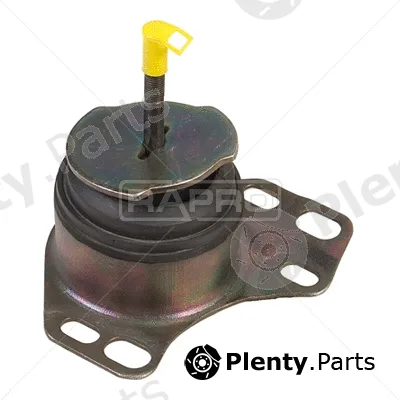 Rapro R52145 — Mounting, engine
