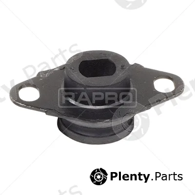 Rapro R55141 — Mounting, engine