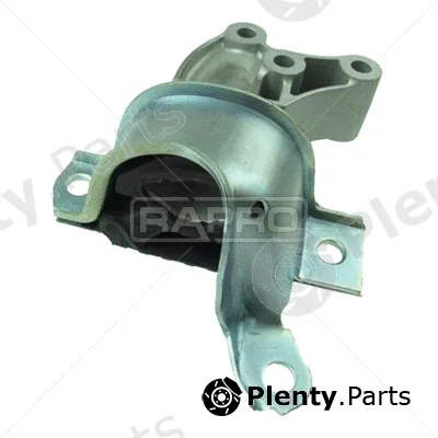 Rapro R51564/O — Mounting, engine
