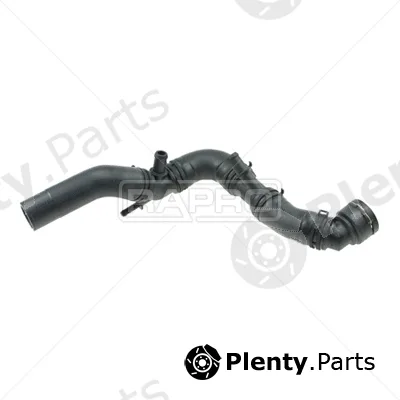 Rapro R25515 — Radiator Hose