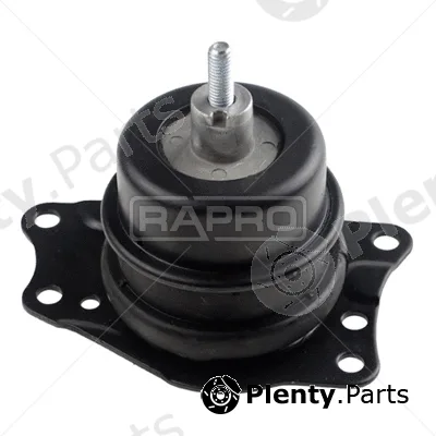 Rapro R54165 — Mounting, engine