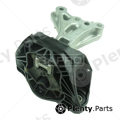 Rapro R51586 — Mounting, engine