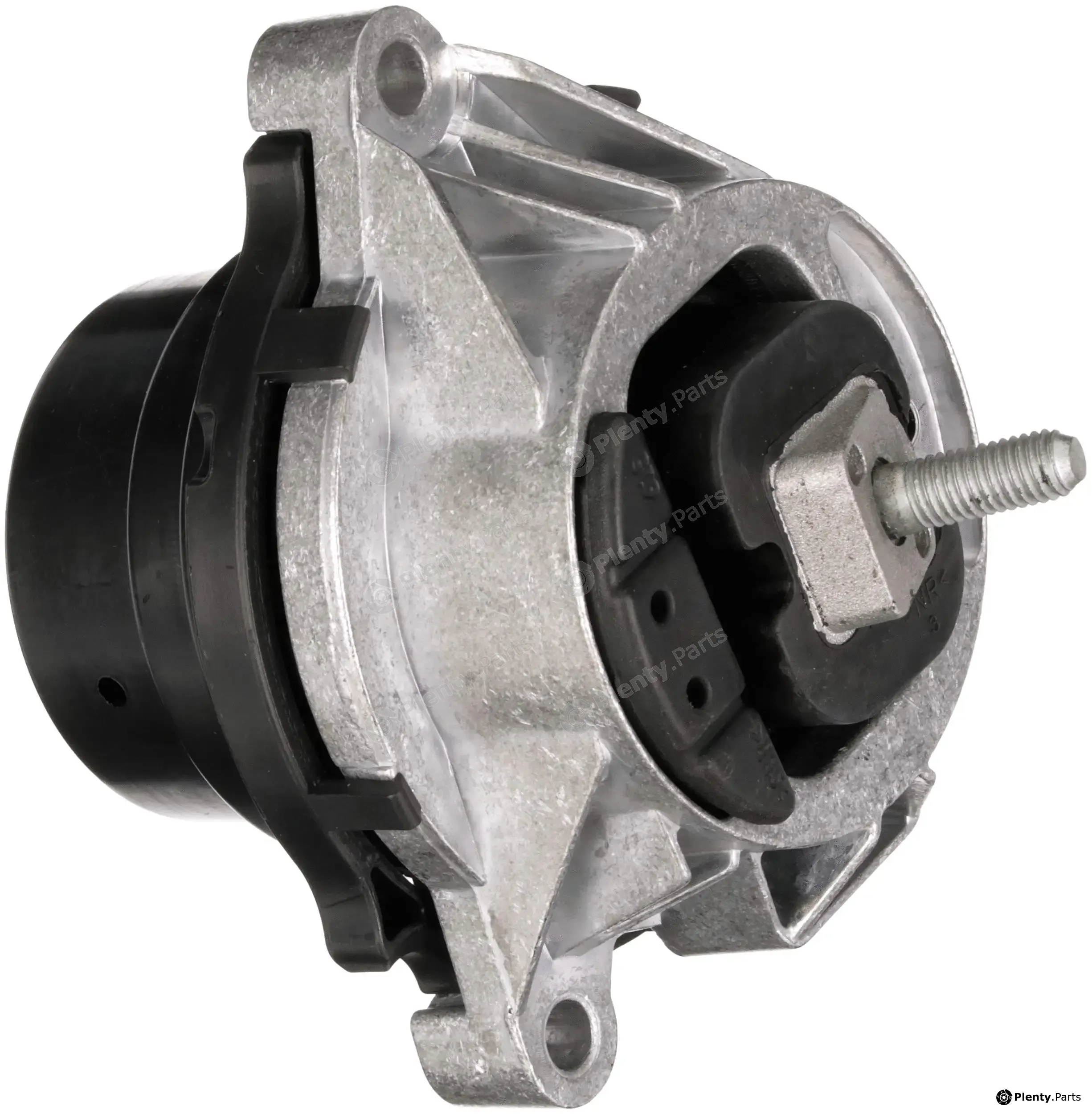 Rapro R55556 — Mounting, engine