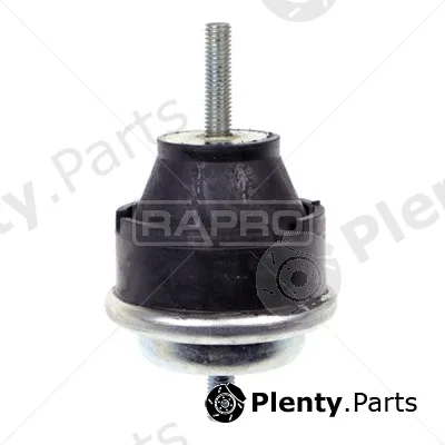 Rapro R59637 — Mounting, engine