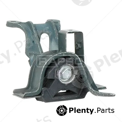 Rapro R59553 — Mounting, engine