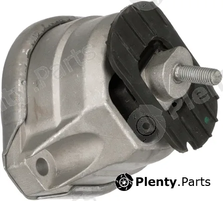 Rapro R55565 — Mounting, engine