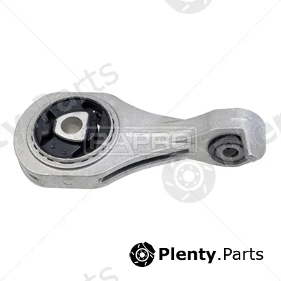 Rapro R54821/O — Mounting, engine