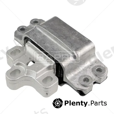 Rapro R54545 — Mounting, engine
